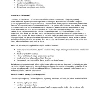 Puslapis Nr.2